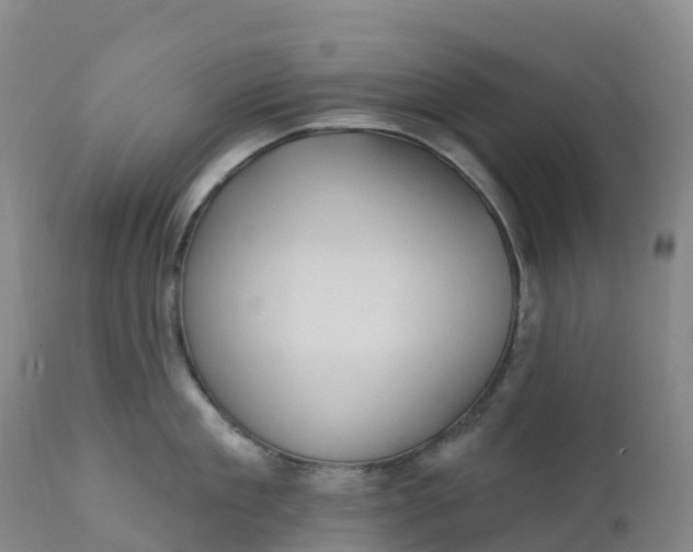 X0000111820909200908131520