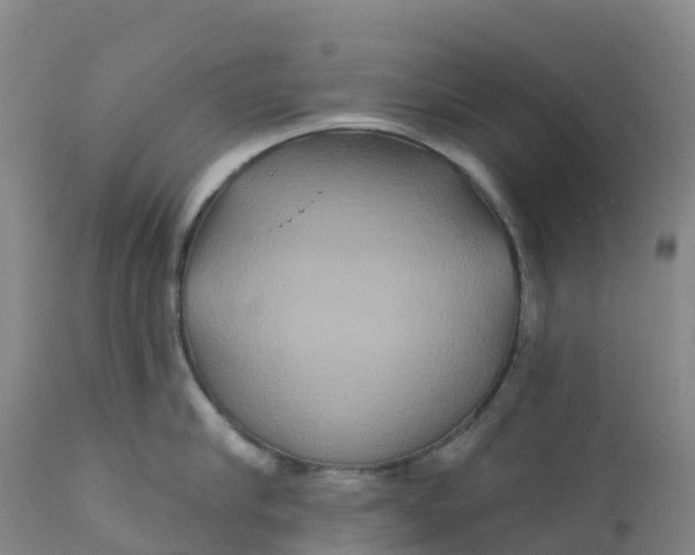 X0000111820910200908131520