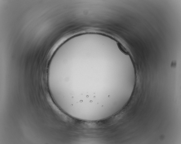 X0000111820911200908131520