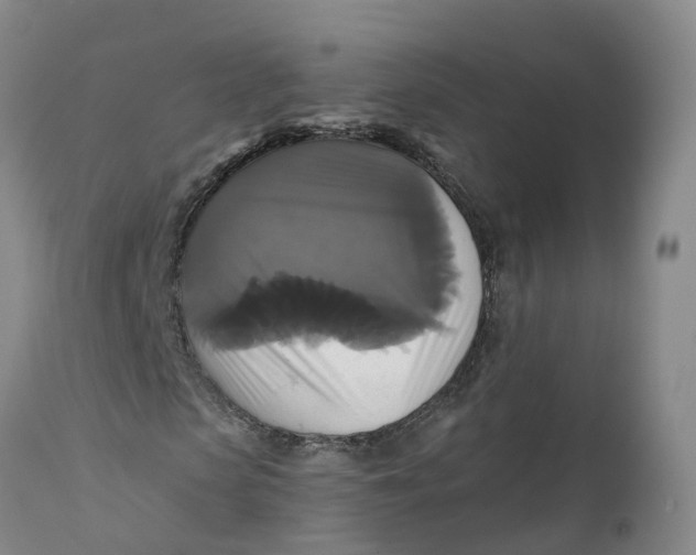 X0000111820913200908131519