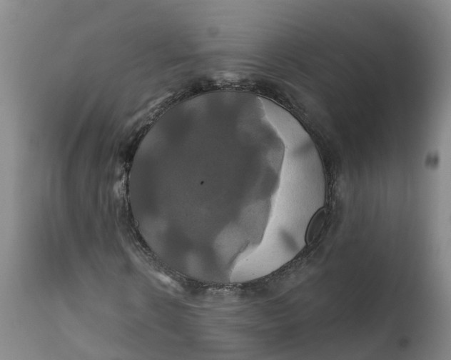 X0000111820914200908131519