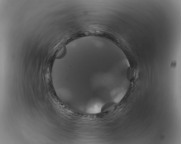 X0000111820915200908131519