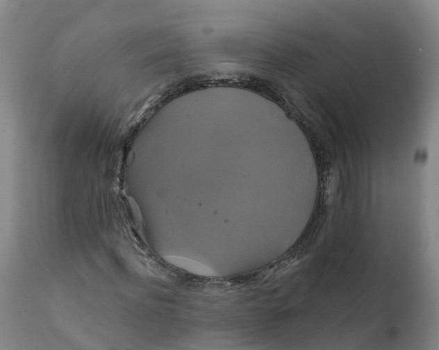 X0000111820916200908131519