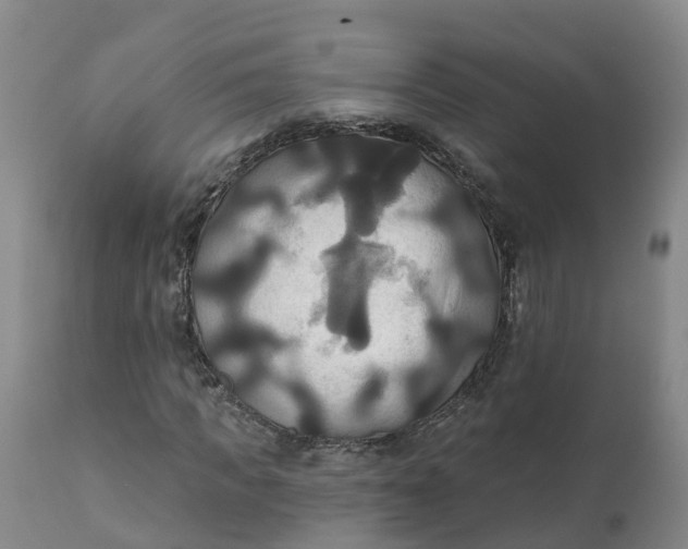 X0000111820917200908131519