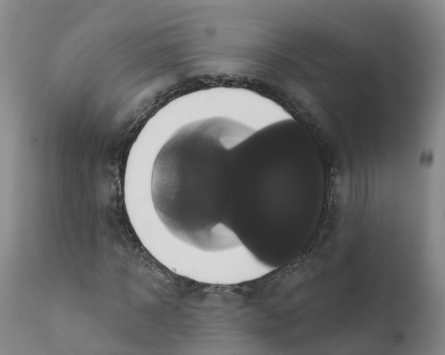 X0000111820918200908131519