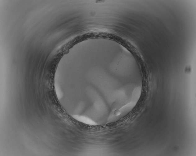 X0000111820919200908131519