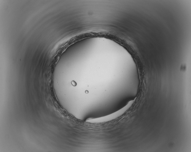 X0000111820920200908131519