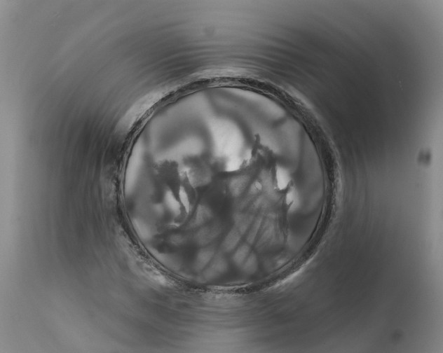 X0000111820921200908131519