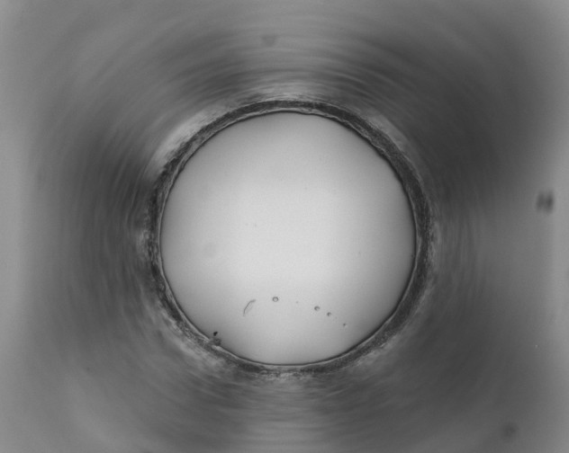 X0000111820922200908131519