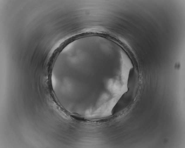 X0000111820923200908131519