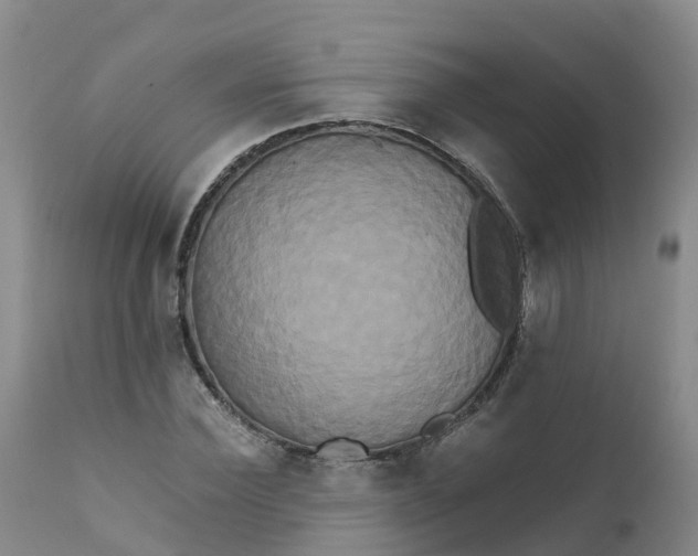 X0000111820924200908131519