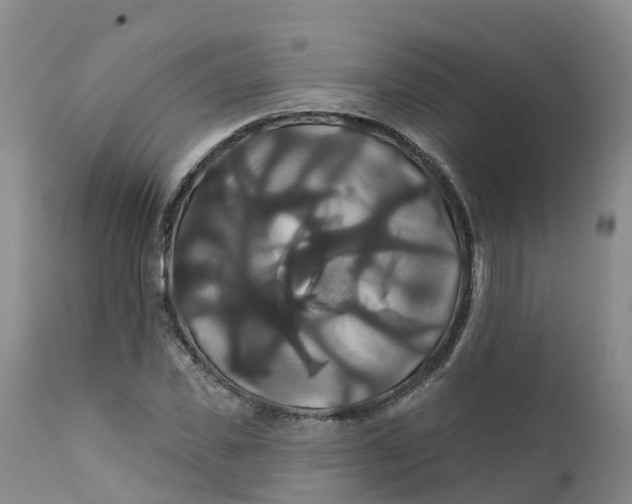 X0000111820925200908131519