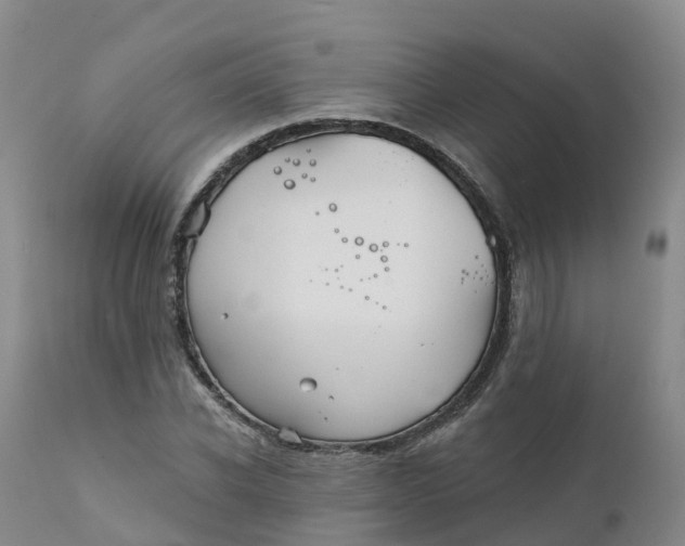 X0000111820926200908131519