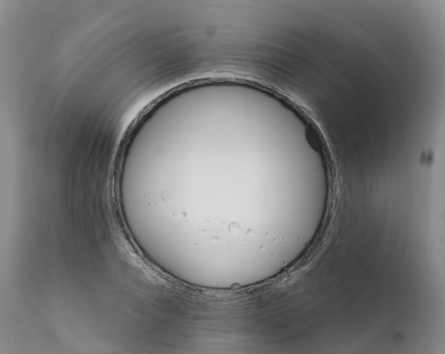 X0000111820928200908131519