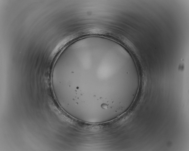 X0000111820930200908131519