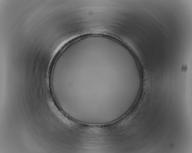 X0000111820932200908131520