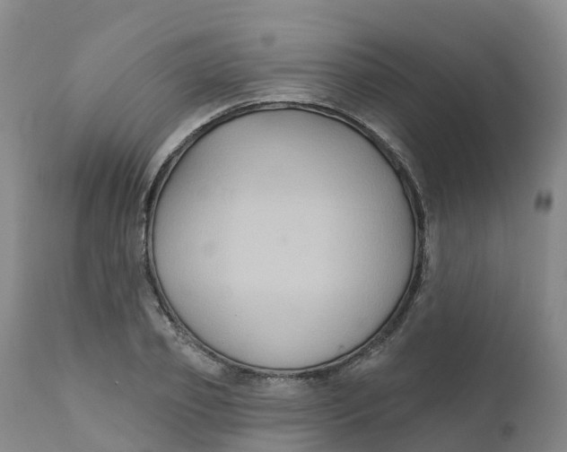 X0000111820933200908131520