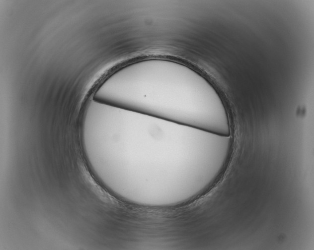 X0000111820934200908131520