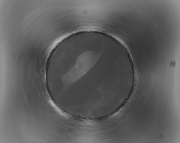 X0000111820935200908131520