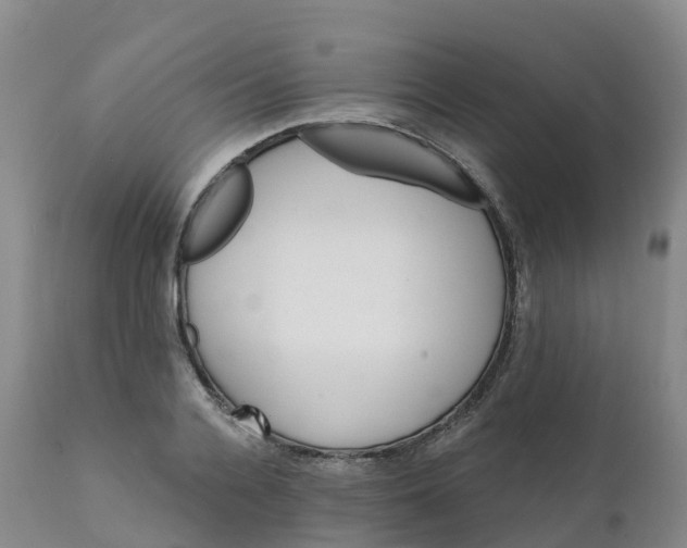 X0000111820936200908131520