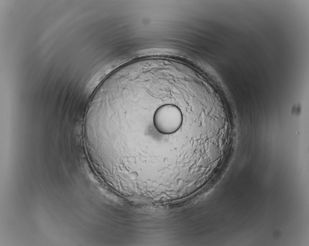 X0000111820937200908131520