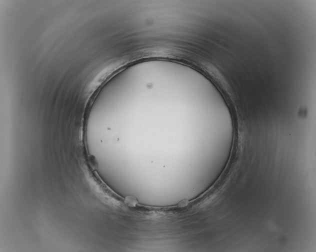 X0000111820938200908131520