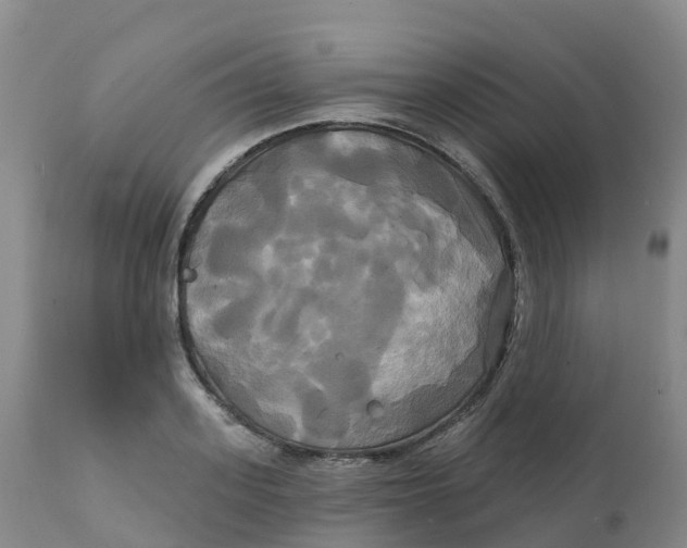 X0000111820939200908131520