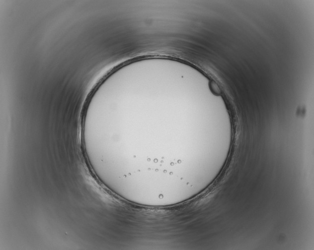 X0000111820940200908131520