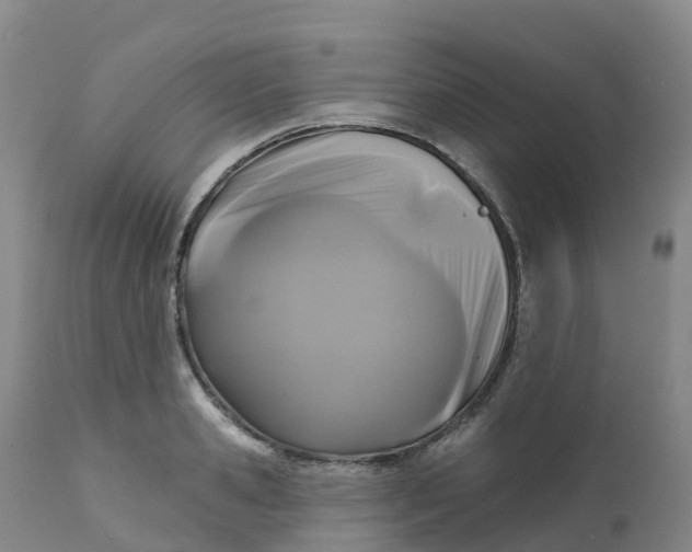 X0000111820941200908131520