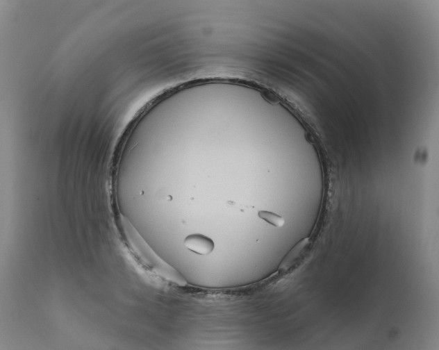 X0000111820942200908131520