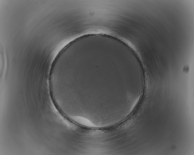 X0000111820943200908131520