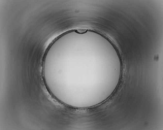 X0000111820944200908131520