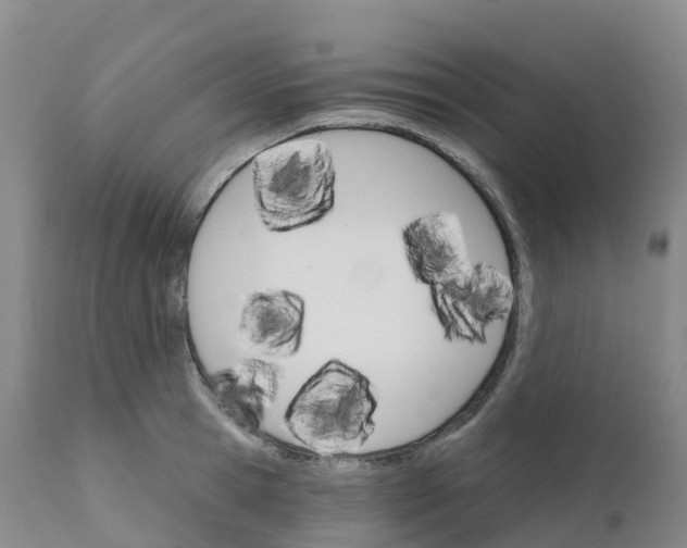 X0000111820945200908131520