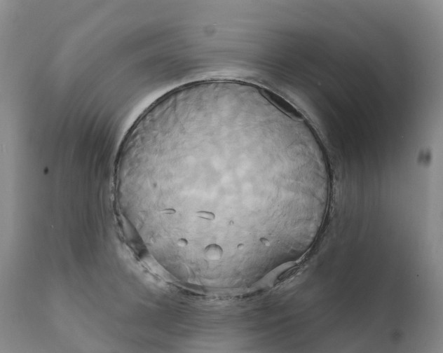 X0000111820948200908131520