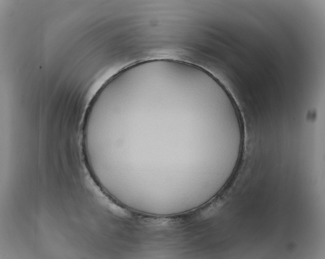 X0000111820949200908131520