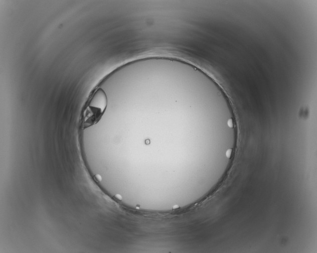 X0000111820950200908131520