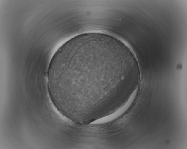 X0000111820951200908131520