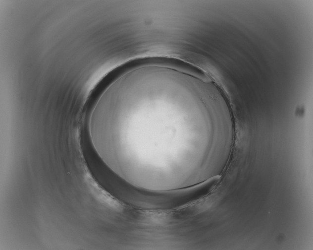 X0000111820952200908131520