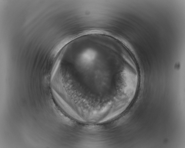 X0000111820953200908131520