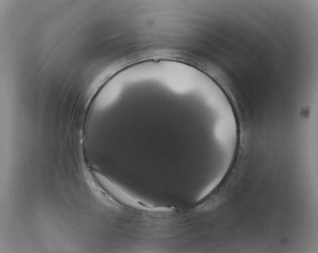 X0000111820954200908131520