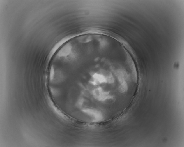 X0000111820955200908131520