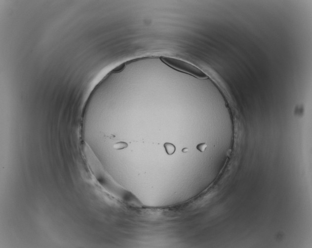 X0000111820956200908131520