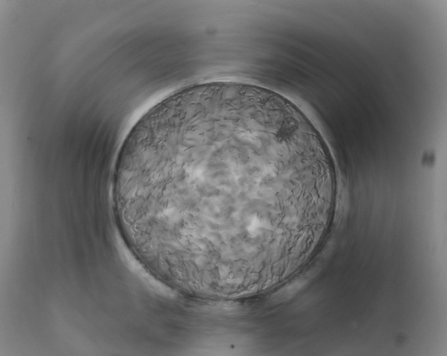 X0000111820957200908131520