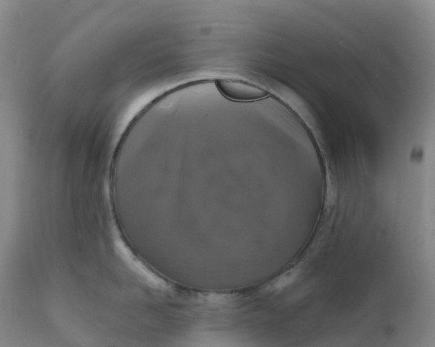 X0000111820958200908131520