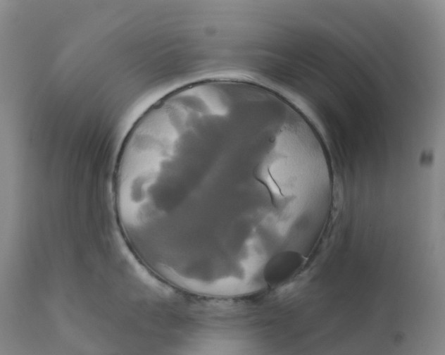 X0000111820959200908131520