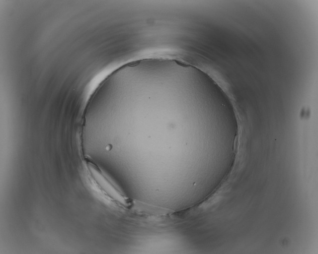 X0000111820960200908131520