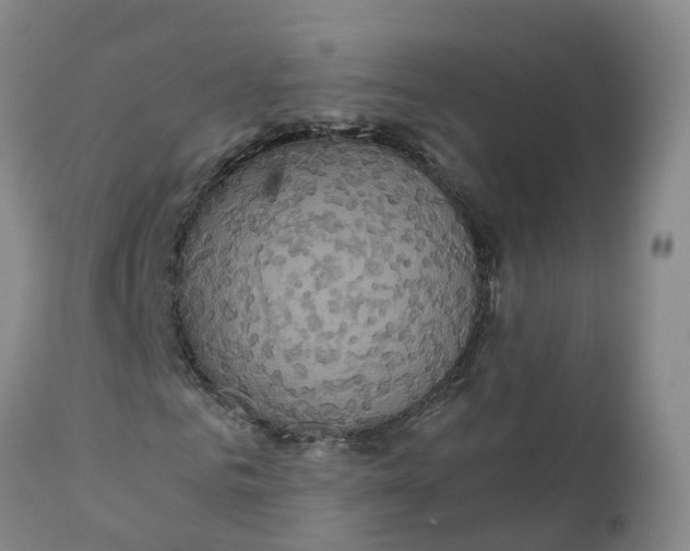 X0000111820961200908131519