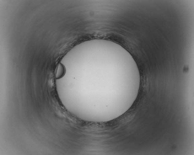 X0000111820962200908131519