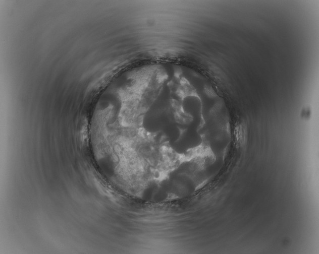 X0000111820963200908131519