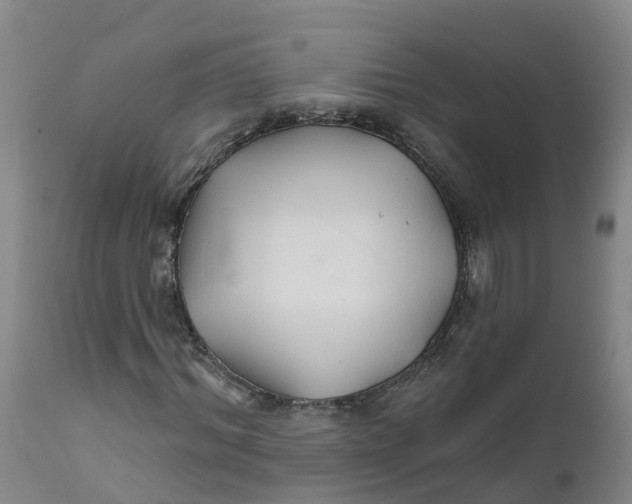 X0000111820964200908131519